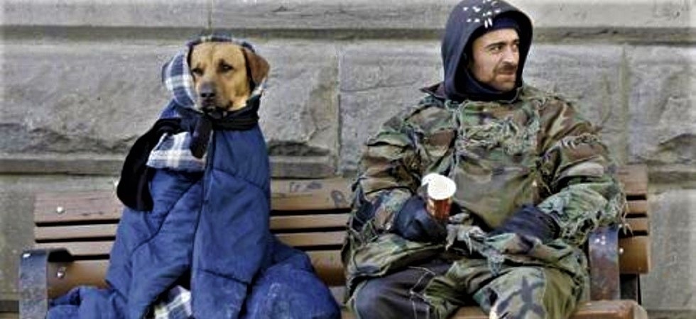 Freddo e maltempo, l’appello dell’Enpa: “Troviamo modo di accogliere anche i senzatetto con animali”